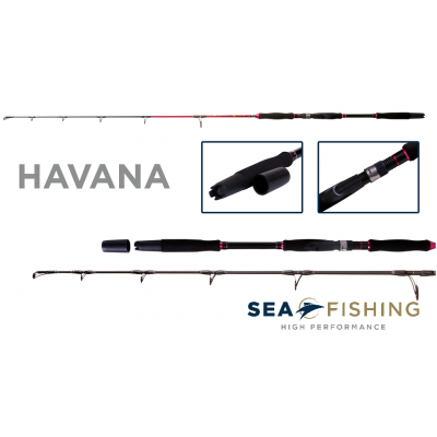 Vara molinete Sea Fishing Havana jigging 6"6' (1,98 m) - 20 a 45 lbs - Jig 80 a 300 gr